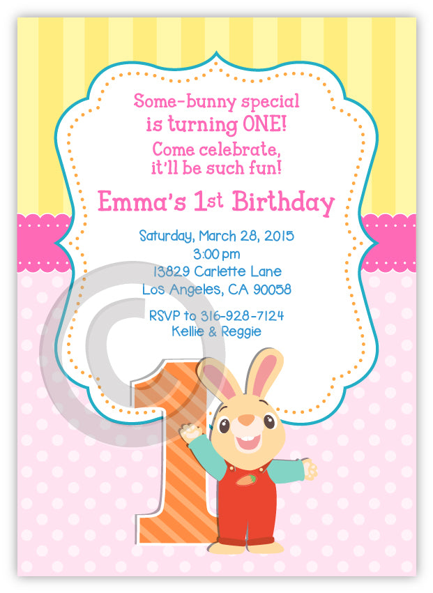 Harry the Bunny BabyFirstTV 1st Birthday Invitations, Set of 16 PRINTED INVITATIONS