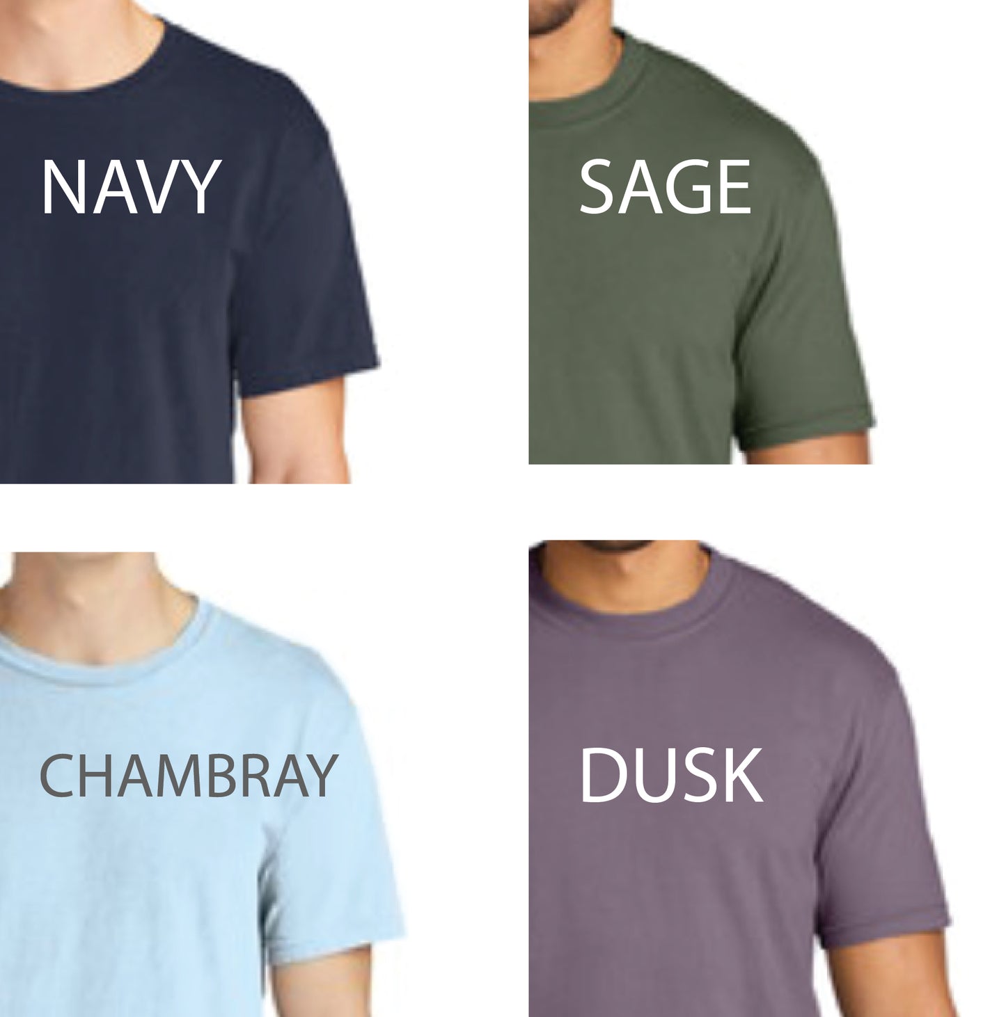Comfort Colors tee, 2nd Chance Adventures tshirt, inspirational tshirt design, rv travel shirt, rvlife shirt, rv lifestyle gift, gift for rv'ers