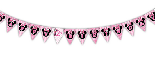 Minnie Mouse Pinks Birthday Personalized Banner Decoration