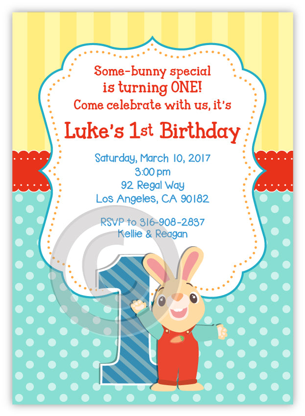 Harry the Bunny BabyFirstTV 1st Birthday Invitations, Set of 16 PRINTED INVITATIONS